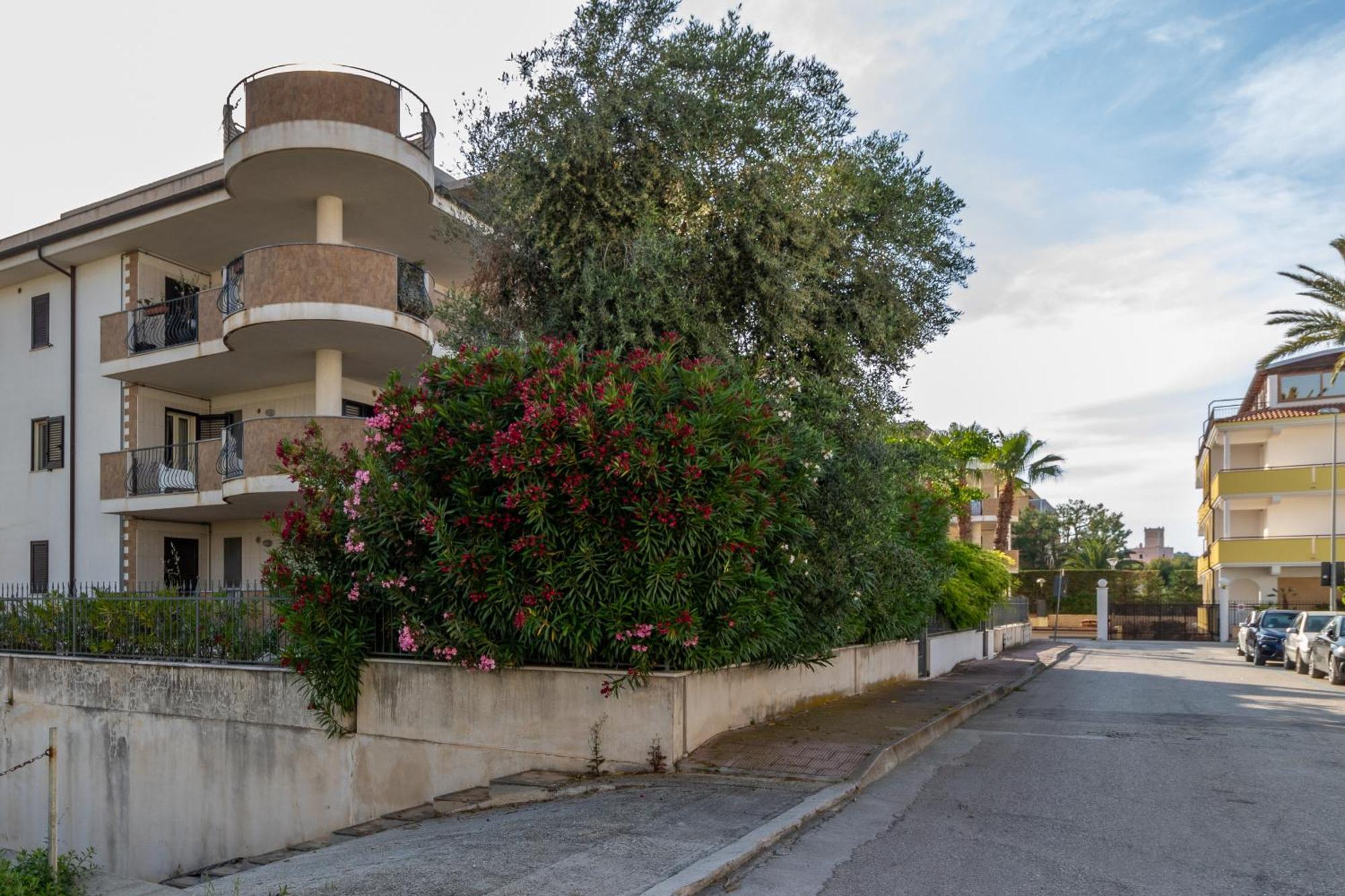 Virna Casa Vacanze Vieste Exteriör bild